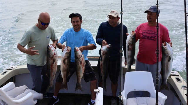 A productive day on Cape Cod Bay!
