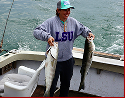 Striped bass on Cape Cod Bay with Cape Cod Bay Charters