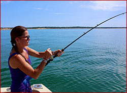 Cape Cod Bay Charters